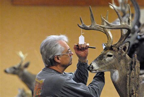 Taxidermist’s window displays predicting stock crashes