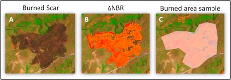 Burn survivors mapping scars into landscapes